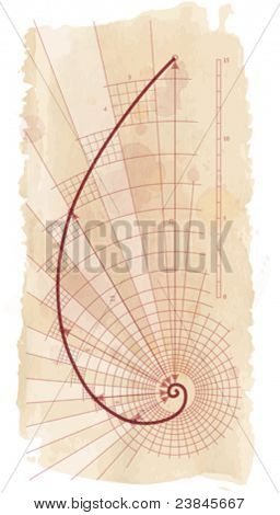 Golden Ratio (Golden Proportion)