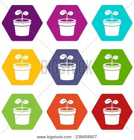 Plant Icons 9 Set Coloful Isolated On White For Web