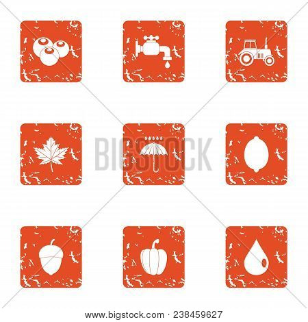 Garden Resource Icons Set. Grunge Set Of 9 Garden Resource Vector Icons For Web Isolated On White Ba