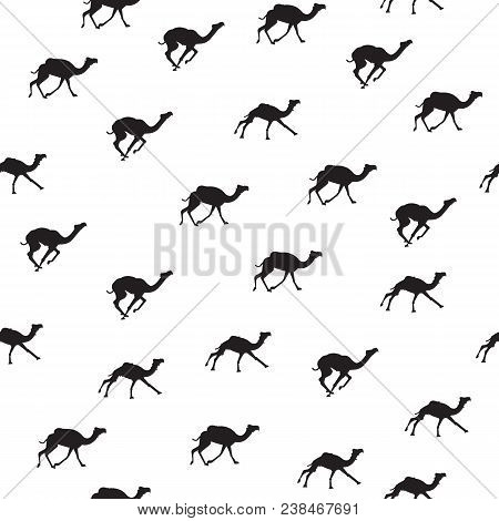 Seamless Pattern With Camels. Wallpapers Camels. Black Camel Pattern On White Background