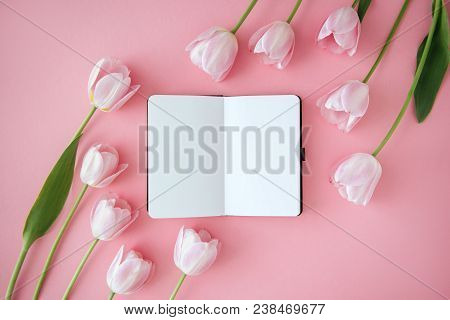 Opened Noteboog Around Beautiful Flowers. Pink Background. Flat Lay Style.