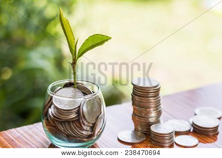 Coins In Glass Jar With The Small Tree On Top Set , Put In A Green Park Background Also Some Coins B