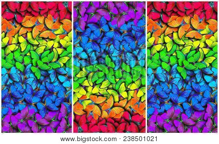 Colors Of Rainbow. Pattern Of Multicolored Butterflies Morpho, Texture Background.triptych