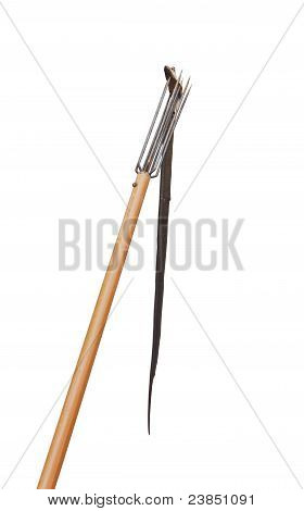 Nożem głowę Cobra z harpun