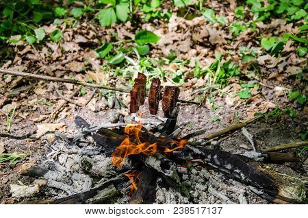 Pieces Of Backon Are Fried On A Fire In The Forest