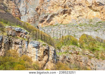 Rock Formations, Trees On The Slopes, Mountain Plateau