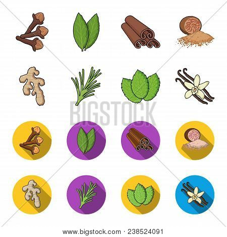 Ginger, Rosemary, Vanilla, Mint.herbs And Spices Set Collection Icons In Cartoon, Flat Style Vector 