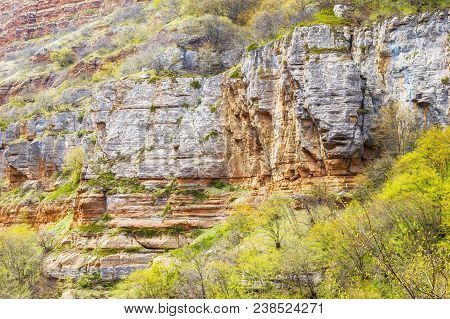 Rock Formations, Trees On The Slopes, Mountain Plateau