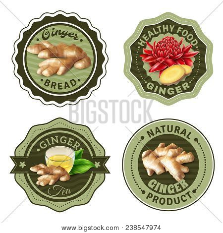 Set Of Labels With Design Elements For Ginger Products Including Fresh Root, Tea, Bread Isolated Vec