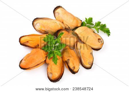 Mussel With Parsley Leaf Isolated On White Background.