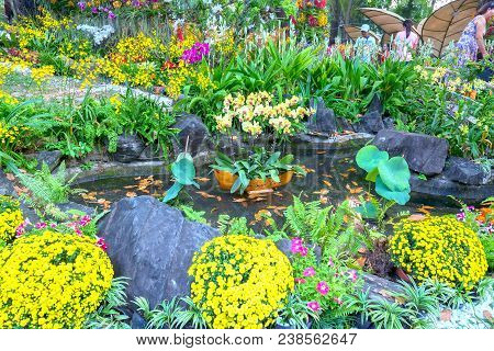 Ho Chi Minh City, Vietnam - February 11, 2018: Spring Festival Flower Garden In Lunar Year To Attrac