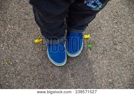 Cute Little Blue Child Shoes. Overhead View. Asphalt On Background