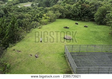 Grass Tangua Park View Gardens Stones Trees Brazil City Curitiba