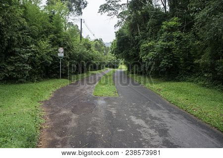 Grass Tangua Park View Road Track Trees Brazil City Curitiba