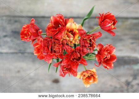 Spring Flowers. Bouquet Of Red Tulips On Brown Wooden Background. Mother's Day And Valentines Day Ba