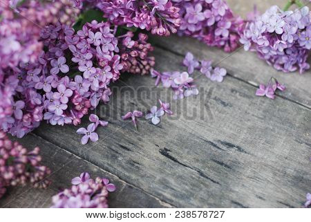 Spring Flowers. Lilac Flowers Frame On White Wooden Background. Top View, Flat Lay