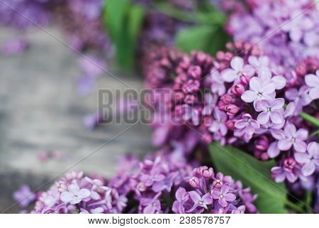 Spring Flowers. Lilac Flowers Frame On White Wooden Background. Top View, Flat Lay