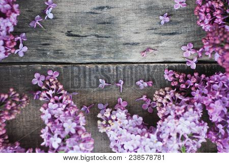 Spring Flowers. Lilac Flowers Frame On White Wooden Background. Top View, Flat Lay