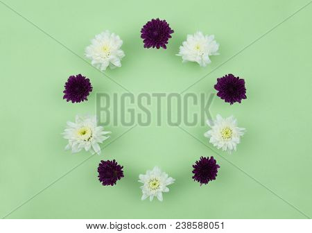 Flower Flat Lay Flower Fream Romantic Concept