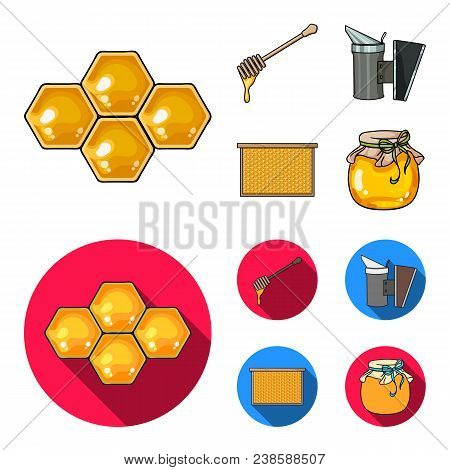 A Frame With Honeycombs, A Ladle Of Honey, A Fumigator From Bees, A Jar Of Honey.apiary Set Collecti