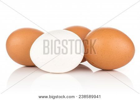 White Chicken Eggs Collection Isolated On White Background One White And Three Brown