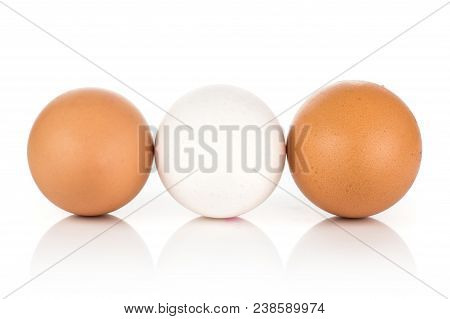 White Chicken Eggs Collection Isolated On White Background One White Two Brown