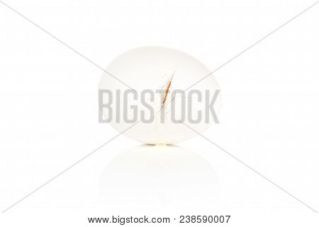 One Cracked White Chicken Egg Isolated On White Background