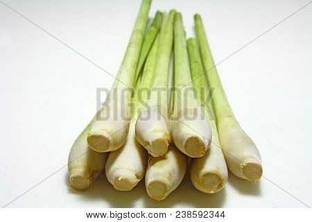 Stalks Of Lemongrass On White Background With Perspective