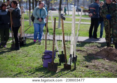 Belarus, Gomel, April 21, 2018. The Central District. Tree Planting. A Lot Of Shovels And Buckets Fo