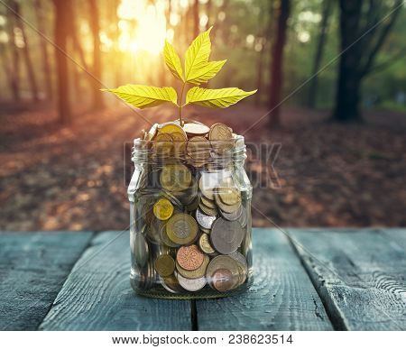 Savings Money Jar Full Of Coins On Soil Plant Growing In Savings Coins Investment And Etirement Or E