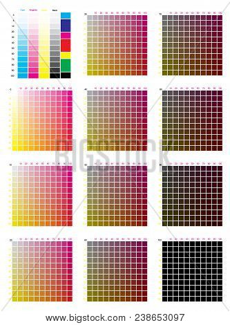 Cmyk Press Color Chart. Vector Color Palette, Cmyk Process Printing Match. For Digital Design, Anima