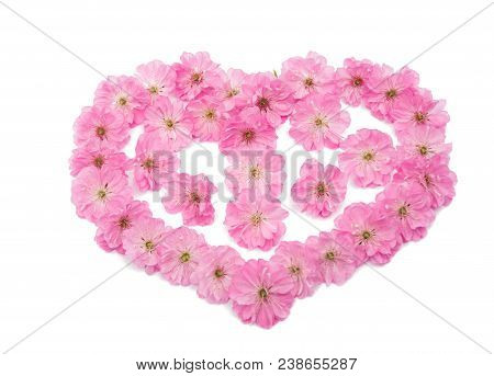 Blossoming Branch Of Almond (prunus Triloba) On A White Background