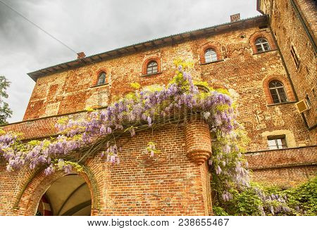 Renaissance Catle With Flowers Under Grey Sky, Horizontal Image