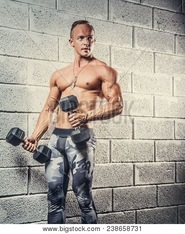 Shirtless Muscular Man In Military Pants Holding Dumbells Over Wall From Gey Bricks.