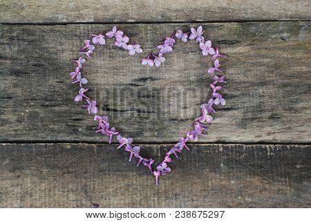 Spring Flowers. Lilac Flowers Frame Heart Shape Textured Rustic Gray Wooden Background.
