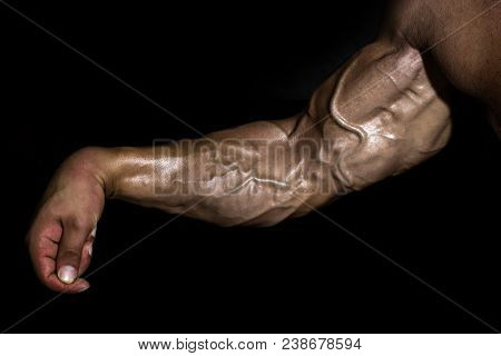 Arm With Muscles, Biceps, Triceps And Veins On Black Background. Power, Strength Concept. Sport, Fit