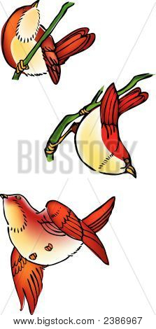 Três Birds.Eps