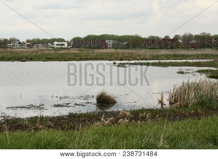 Nature Reserve 