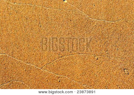 Sand Background