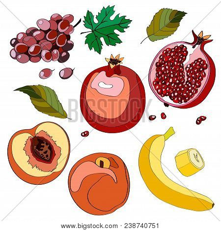 Vector Illustration, Set. Grapes, Grapes, Grapes, Pomegranate, Garnet, Half Pomegranate, Pomegranate