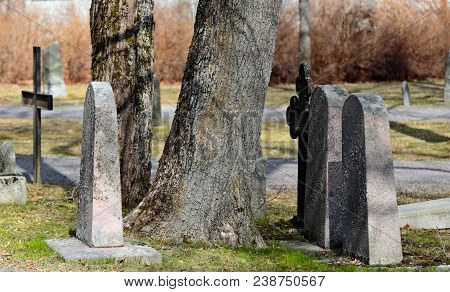 Old Oak Trees And Headstones In Springlike Graveyard