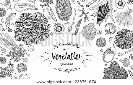 Vegetables Top View Frame. Ink Hand Drawn Vector Illustration. Farmers Market Menu Design Template. 