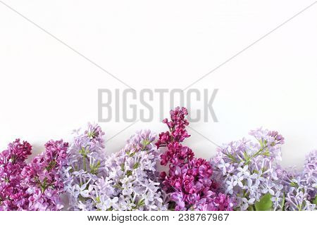 Styled Stock Photo. Spring Feminine Scene, Floral Composition. Decorative Banner Made Of Beautiful P