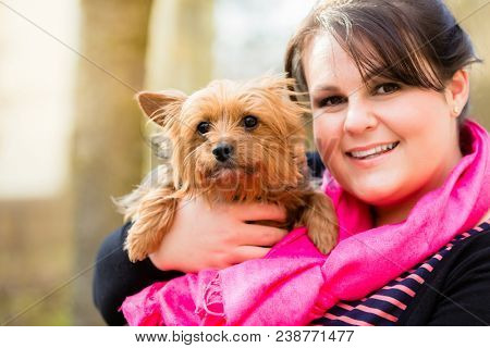 Cute Yorkshire Terrier on arm of dog mama