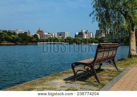 A Wooden Bench By The Lake In Ohori Park, Fukuoka, Japan
