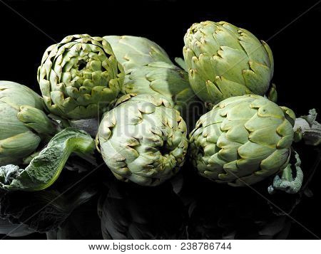Alcachofa - Artichoke 

The Artichoke (cynara Scolymus) Is A Vegetable. The Edible Portion Is The Fl