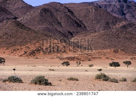 Panoramic View Of The Namib Naukluft Park, Hardap, Namibia, Africa