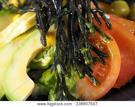 Codium - Velvet Horn - Spongeweed In Salad With Avocado.
Edible Green Seaweed In The Family Codiacea