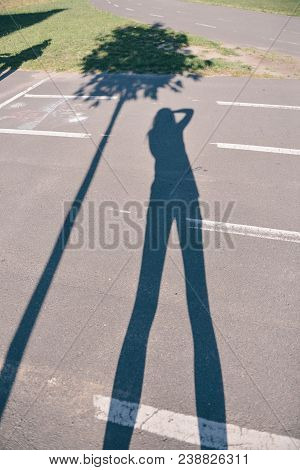 The Shadow Of The Photographer And The Tree On The Treadmill On The Ground. Psychology. Shadow Sides