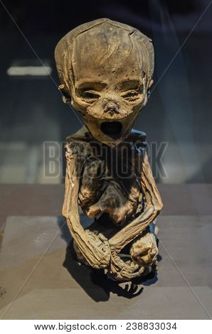Guanajuato, Mexico - May 06, 2013: El Museo De Las Momias, Mummies Of Guanajuato, Buried In 1833 Due